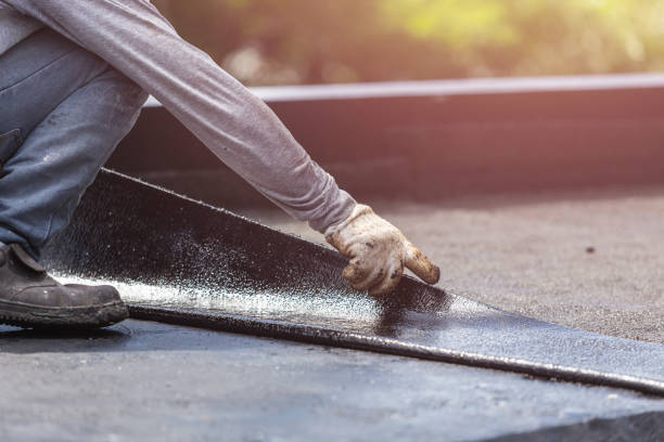 Wet basement repair process in Perry, MI